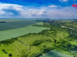 Prodej lesa, Libochovice - Poplze, 49399 m2