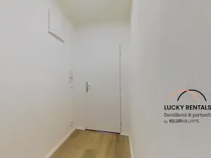 Pronájem bytu 1+1, Praha - Podolí, U Kublova, 41 m2