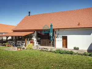 Prodej chaty, České Budějovice - České Budějovice 7, nám. Bratří Čapků, 450 m2