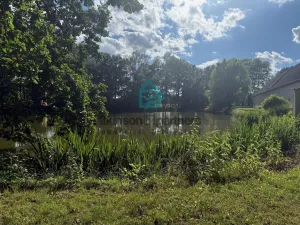 Prodej chaty, Břehov, 1600 m2