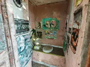 Prodej rodinného domu, Zaječice, 299 m2