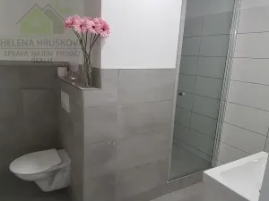 Pronájem bytu 1+kk, Ostrava, Závoří, 32 m2