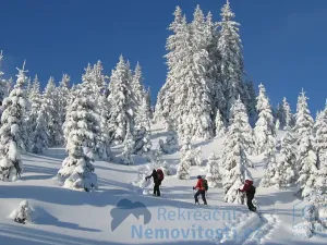 Prodej bytu 3+kk, Eisenerz, Rakousko, 52 m2