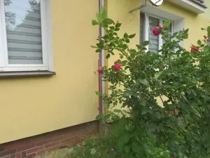Dražba bytu 3+1, Sokolov, Mánesova, 69 m2