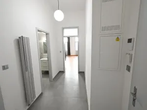 Pronájem bytu 1+kk, Praha - Vinohrady, Vinohradská, 43 m2