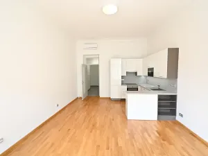 Pronájem bytu 1+kk, Praha - Vinohrady, Vinohradská, 43 m2