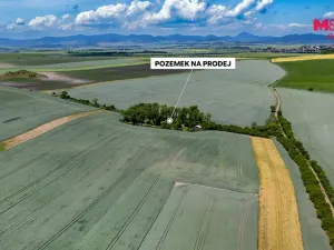 Prodej lesa, Libochovice - Dubany, 8199 m2