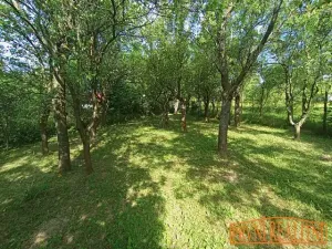 Prodej rodinného domu, Březová, 204 m2