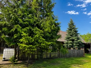 Prodej rodinného domu, Šelešovice, 158 m2