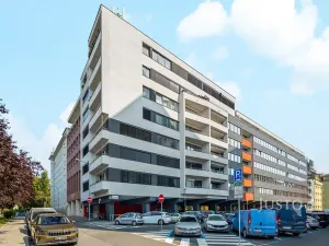Pronájem bytu 3+kk, Brno, Mezírka, 112 m2