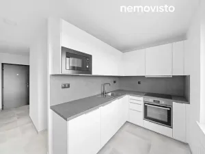 Pronájem bytu 1+1, Ostrava, Výškovická, 39 m2