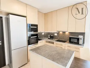 Pronájem bytu 2+kk, České Budějovice, Klaricova, 52 m2