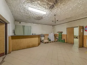 Prodej výrobních prostor, Velké Pavlovice, Trávníky, 400 m2