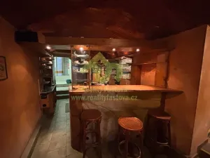 Prodej činžovního domu, Plzeň, Lindauerova, 776 m2