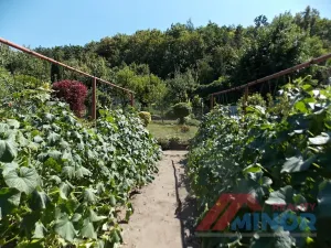 Prodej zahrady, Slaný, Štechova, 454 m2