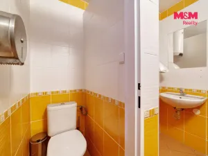 Prodej rodinného domu, Stráž nad Ohří - Boč, 500 m2