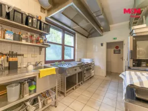 Prodej ubytování, Horní Slavkov, Ke Koupališti, 443 m2