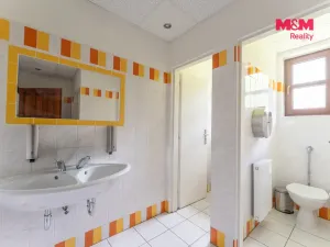 Prodej ubytování, Horní Slavkov, Ke Koupališti, 443 m2