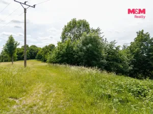 Prodej louky, Nosálov - Libovice, 13358 m2