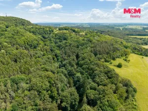 Prodej louky, Nosálov - Libovice, 13358 m2