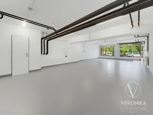 Prodej obchodního prostoru, Praha - Černý Most, Šromova, 76 m2