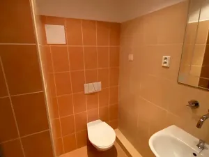 Pronájem bytu 3+kk, Počátky, Lipárecké nám., 110 m2