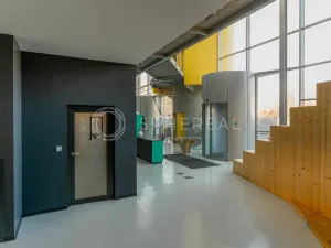 Pronájem obchodního prostoru, Brno - Zábrdovice, Plynárenská, 1000 m2