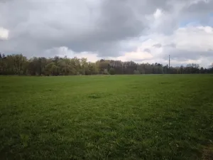 Prodej louky, Hrádek, 19424 m2