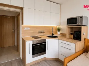 Prodej bytu 1+kk, Ostrava - Hrabůvka, Krakovská, 20 m2