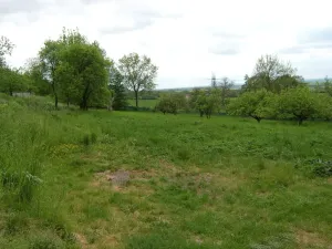 Prodej rodinného domu, Jenišovice - Mravín, 100 m2