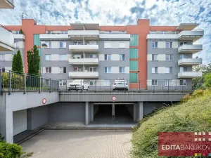 Pronájem garáže, Olomouc, Mošnerova, 19 m2