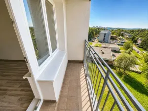 Prodej bytu 1+kk, Ostrava - Zábřeh, Petruškova, 30 m2
