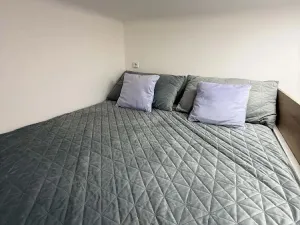Prodej bytu 1+kk, Opava - Předměstí, Alšova, 15 m2