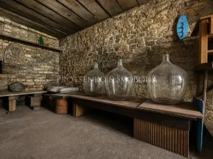 Prodej chalupy, Dolní Dunajovice, Hlavní, 244 m2