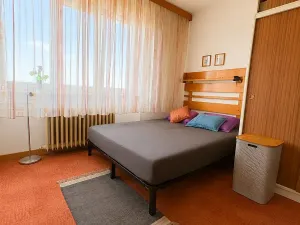 Prodej bytu 2+1, Cheb, Palackého, 53 m2