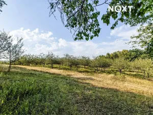 Prodej chalupy, Chelčice, 127 m2