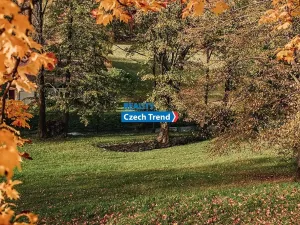Pronájem rodinného domu, Zlaté Hory, 170 m2