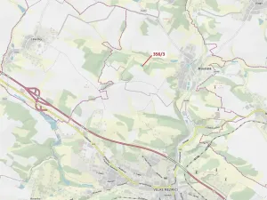 Dražba lesa, Velké Meziříčí, 1213 m2