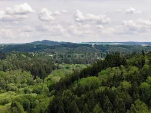 Prodej pozemku pro bydlení, Bezdružice, Úterská, 2000 m2