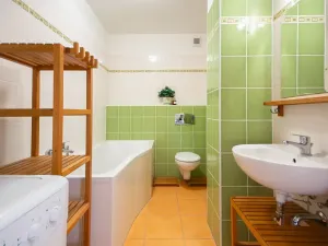 Pronájem bytu 1+kk, Brno, Božetěchova, 32 m2
