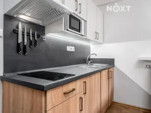 Prodej bytu 1+kk, Rokytnice nad Jizerou, 20 m2