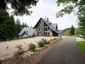 Prodej bytu 1+kk, Rokytnice nad Jizerou, 20 m2