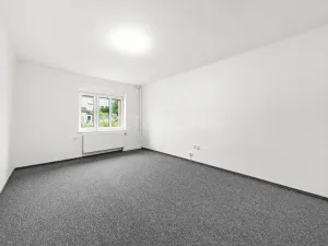 Prodej rodinného domu, Plzeň, Revoluční, 210 m2