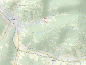 Dražba lesa, Vsetín, 939 m2