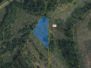 Dražba lesa, Knínice, 2059 m2