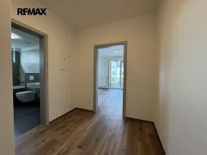 Pronájem bytu 1+kk, Dobřany, Denksteinova, 38 m2