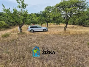 Prodej zahrady, Želešice, 870 m2
