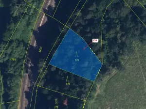 Dražba lesa, Bohutín, 939 m2