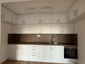 Pronájem bytu 3+1, Přáslavice, 150 m2