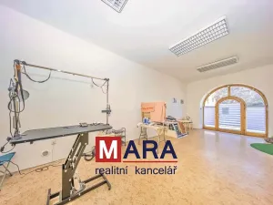 Prodej obchodního prostoru, Tovačov, Náměstí, 739 m2